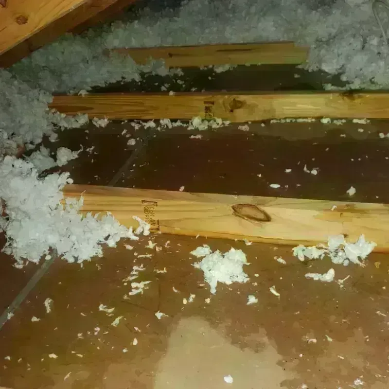 Attic Water Damage in Corte Madera, CA